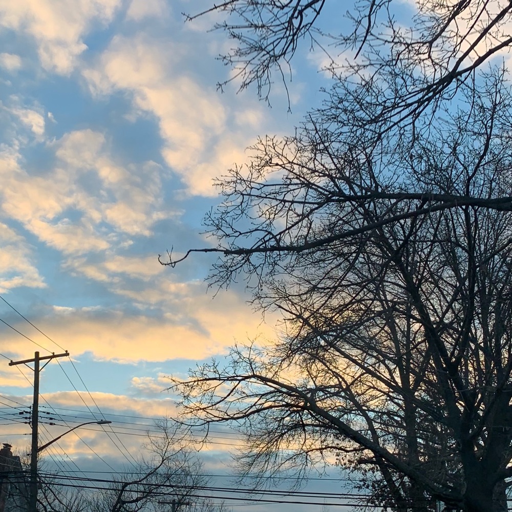 Meet your Posher, Patricia